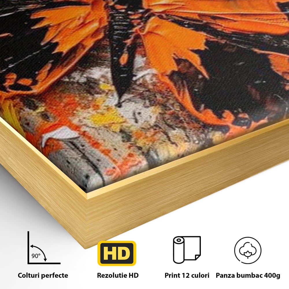 Detaliu al suprafetei: tablou canvas cu fluture portocaliu pe fundal antracit, in rama de aluminiu auriu